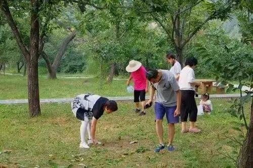 微信图片_20250927084625_210_103.jpg
