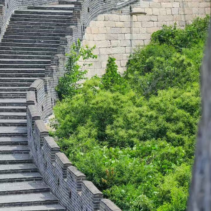 微信图片_20260606082708_593_103.jpg